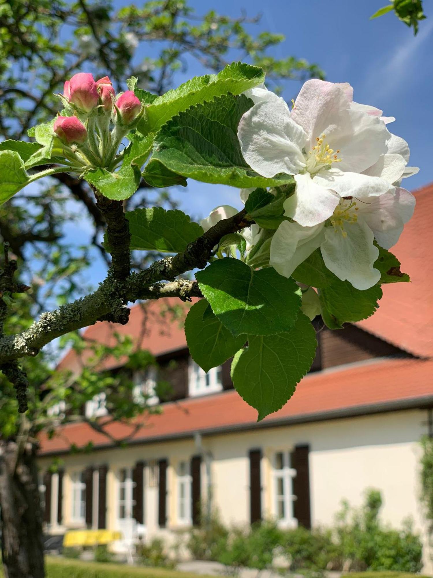 Landhaus Saaleck 나움부르크 외부 사진