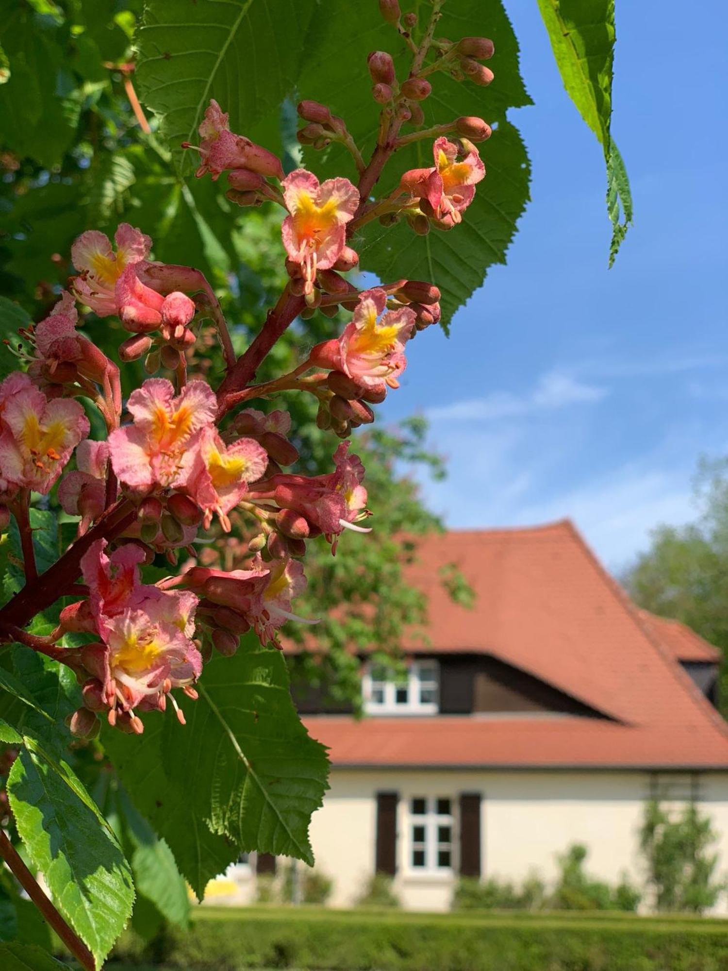 Landhaus Saaleck 나움부르크 외부 사진